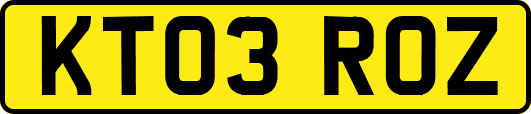 KT03ROZ
