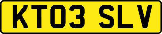 KT03SLV
