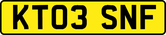 KT03SNF
