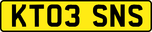 KT03SNS
