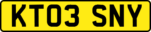 KT03SNY