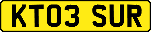 KT03SUR