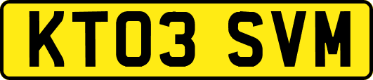 KT03SVM