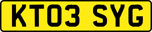 KT03SYG