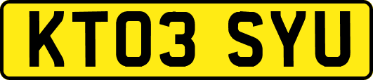 KT03SYU