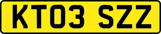 KT03SZZ