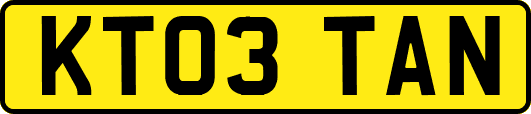 KT03TAN