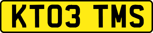 KT03TMS
