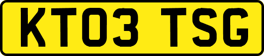 KT03TSG