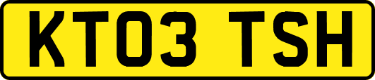 KT03TSH