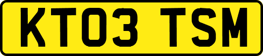 KT03TSM