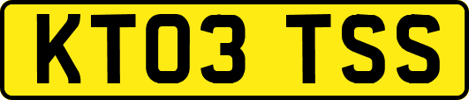 KT03TSS