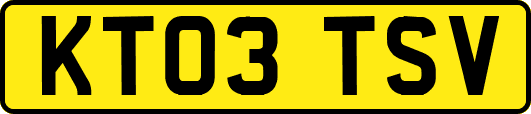 KT03TSV