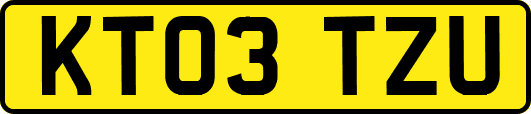 KT03TZU