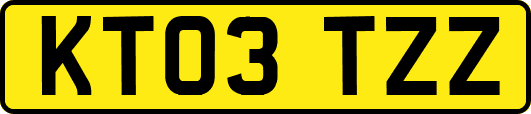 KT03TZZ