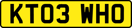 KT03WHO