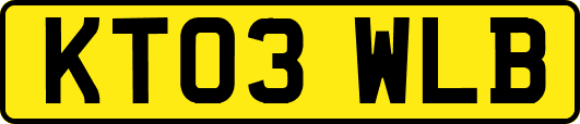 KT03WLB