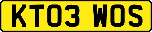 KT03WOS