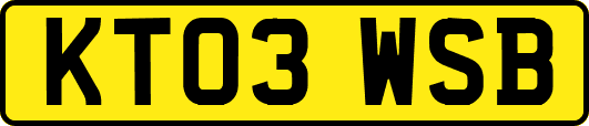 KT03WSB