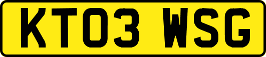 KT03WSG