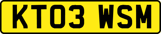 KT03WSM