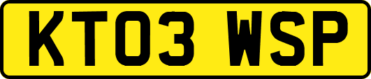 KT03WSP
