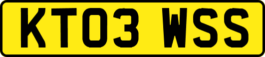 KT03WSS