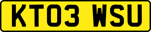 KT03WSU
