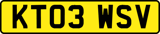 KT03WSV