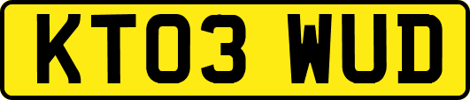 KT03WUD