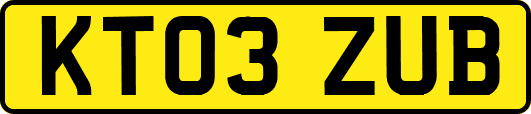 KT03ZUB