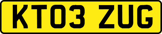KT03ZUG