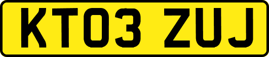 KT03ZUJ