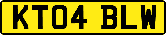 KT04BLW