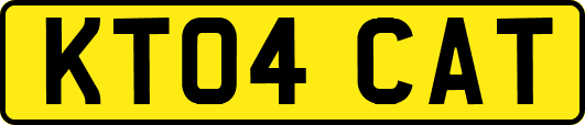 KT04CAT
