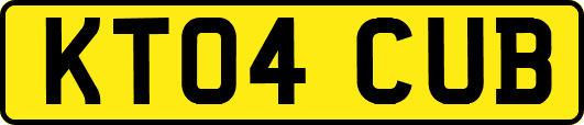 KT04CUB