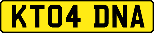 KT04DNA