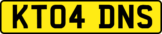 KT04DNS