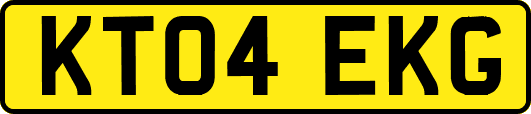 KT04EKG