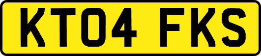 KT04FKS