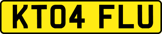 KT04FLU