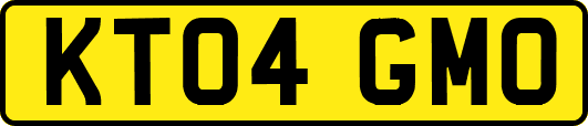 KT04GMO