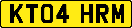 KT04HRM
