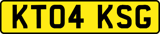 KT04KSG