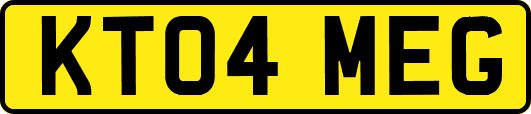 KT04MEG