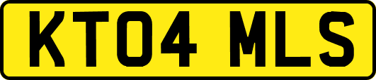 KT04MLS