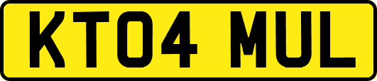 KT04MUL