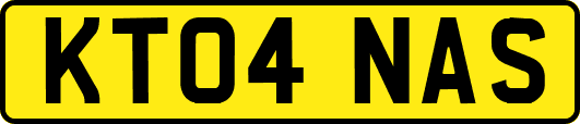 KT04NAS