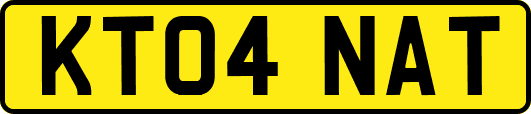 KT04NAT