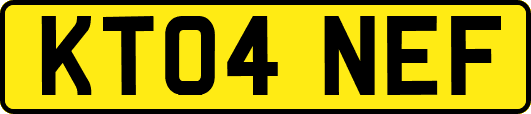 KT04NEF